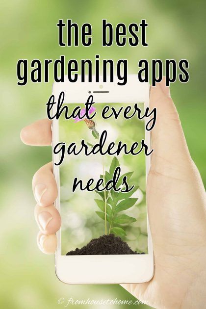 These gardening apps will show you how to plan a garden and care for your plants, help you identify plants, and so much more! These five-star apps for gardening are simply amazing. #fromhousetohome #gardeningforbeginners Best Garden Planning Apps, Plan A Garden, Plant Identification App, Identify Plants, Plant App, Identify Plant, Gardening Zones, Plant Problems, Garden Planner