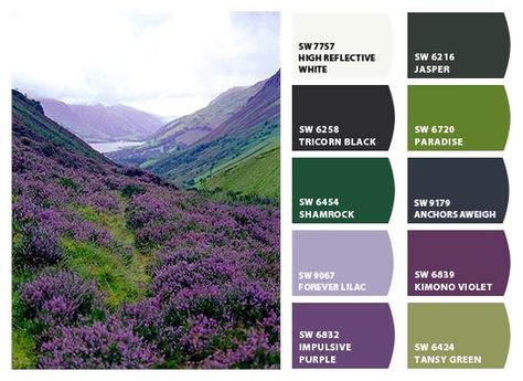 Scottish Highlands Color Palette Scottish Wedding Colour Schemes, Scotland Colour Palette, Heather Colour Palette, Scottish Colour Palette, Scotland Color Palette, Color Palettes Blue, Green And Purple Aesthetic, Stitch Palette, Bathroom Ideas Color