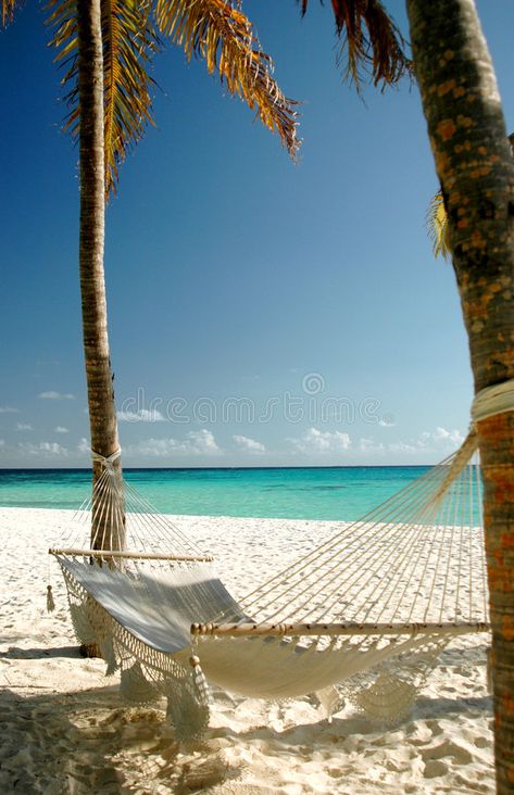 Tropical Paradise Beach, Beautiful Beaches Paradise, Beach Hammock, Paradise Beach, Hotel Booking, Hidden Beach, Travel Places, Beach Paradise, Island Resort