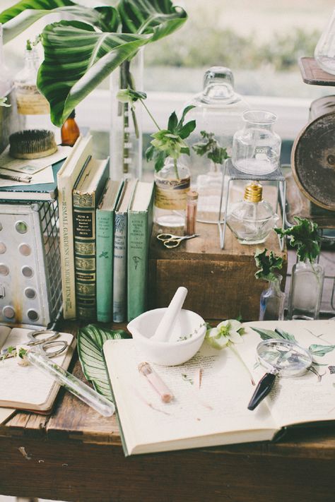 Science Wedding, Botanical Wedding Inspiration, Green Academia, Herbal Apothecary, Witch Aesthetic, Botanical Wedding, Back To Nature, Vintage Botanical, Lighting Ideas