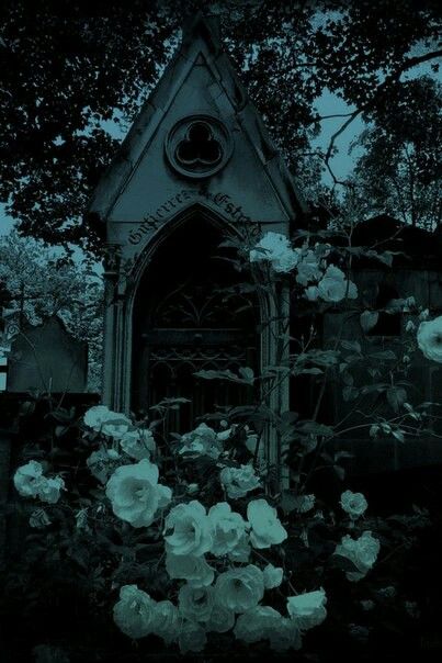 Ios Background, Gothic Stuff, Goth Gifts, How To Impress, Midnight Garden, Victorian Goth, Goth Girl, Gothic Aesthetic, Ivy Park