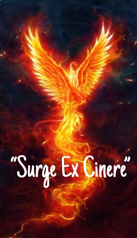 Latin for “ Rise from the Ashes” Like A Phoenix She Will Rise, I Will Rise Quotes Strength, Rise Like A Phoenix Quotes Strength, Fenix Quote, And Still I Rise Maya Angelou, Phoenix Quotes Rising, Phoenix Woman Rising, Rise Like A Phoenix Quotes, Rise Again Quotes