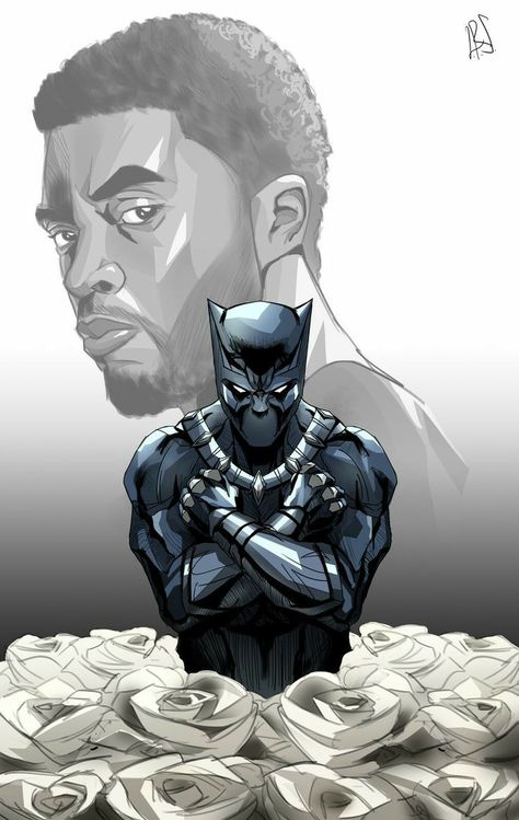 Black Panther Drawing, Black Panther Images, Black Panther Comic, Black Panther King, Black Panther Tattoo, African Superhero, King T Challa, Black Panther Costume, Black Superheroes