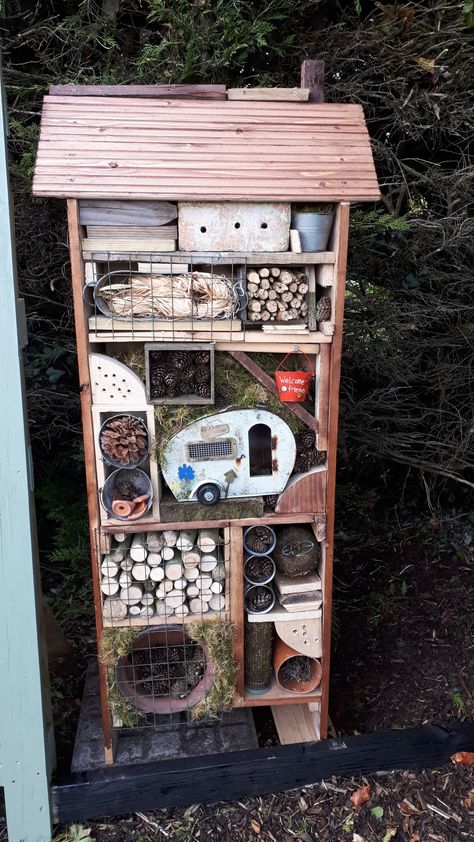 Bug Motel Insect Hotel, Bug House Ideas, Moth Raising, Bug Motel, Diy Bug Hotel, Bug Houses, Bug Hotels, Bug House, Upcycled Garden