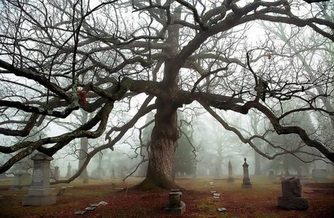 Park Street Cemetery, Southern Cemetery, Spring Grove Cemetery Cincinnati, Cemeteries Photography, Cemetery Of Splendour, Famous Cemeteries, Haunting Photos, Kentucky Travel, Cemetery Statues