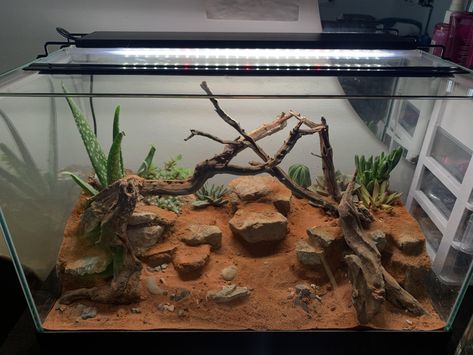 sand aquarium Sand Aquarium, Brown Sand, Aquascaping, Gecko, Dream Room