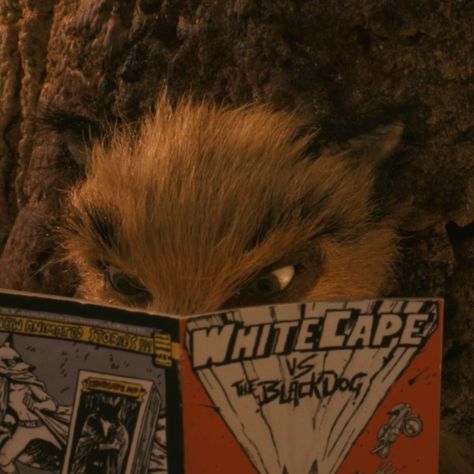 Fantastic Mr Fox Movie, Fox Icon, Fantastic Fox, Mister Fantastic, Wes Anderson Movies, Wes Anderson Films, Fantastic Mr Fox, I Love Cinema, Mr Fox