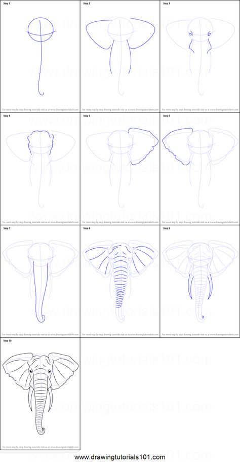 Painting Elephants On Canvas, Elephant Painting Canvas Step By Step, Step By Step Drawing Elephant, Canvas Elephant Painting, How To Paint An Elephant On Canvas, Elephant How To Draw, How To Paint Elephant, Elephant Head Painting, Drawing An Elephant