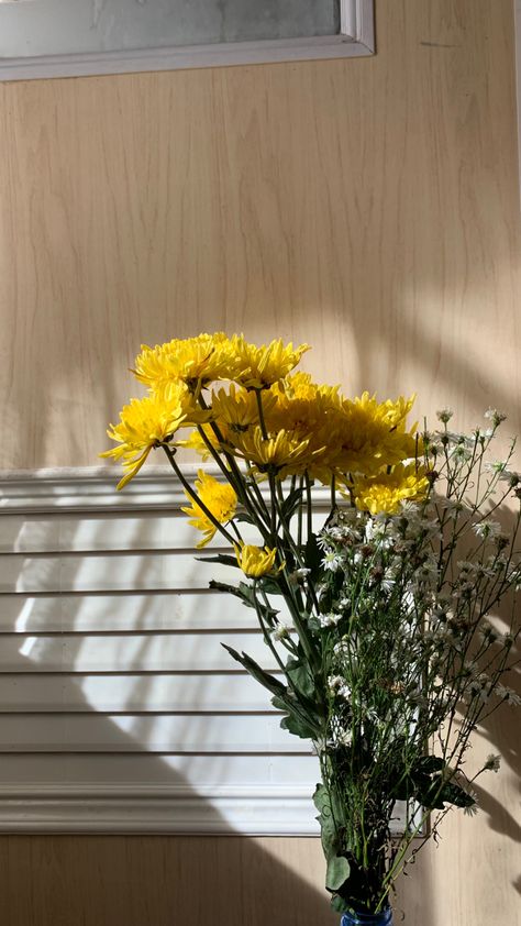 Yellow Chrysanthemum Aesthetic, Chrysanthemum Aesthetic, Yellow Chrysanthemum, Favourite Flowers, Chrysanthemum Flower, Flowers Aesthetic, Favorite Flower, All This Time, Life Lately