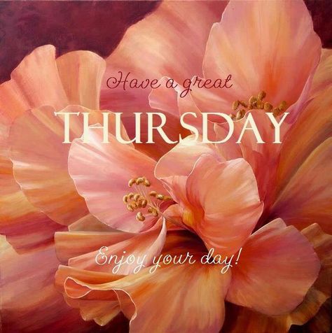 Thursday Pictures, Thursday Greetings, Thursday Images, Have A Great Thursday, Happy Thursday Quotes, Good Morning Thursday, Good Morning Tuesday, Thursday Quotes, Thankful Thursday