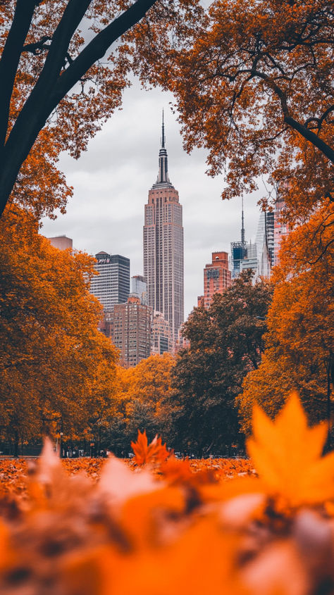 Fun fall activities in New York City Autumn In Central Park Nyc, Fall Central Park Nyc, Things To Do In Nyc Fall, New York Fall Aesthetic, New York City Autumn, Central Park Aesthetic, New York In November, Things To Do In Fall, New York Autumn