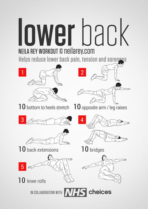 [Sponsored] Lower Back Workout.... Helps Reduce Lower Back Pain, Tension, Stiffness, Soreness <3 ;)* #Weightlossrecipes #yogastretchesforlowerbackpain Lower Back Workout, Neila Rey Workout, Ab Workout Machines, Middle Back Pain, Low Back Stretches, Back Stretches For Pain, Lower Back Pain Exercises, Lower Back Pain Relief, Nerve Pain Relief