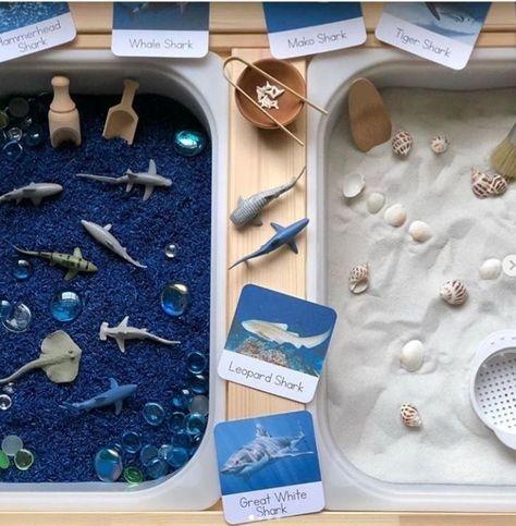 Sensory Table Activities Preschool, Reggio Toddler Activities, Sensory Bin Summer, Ikea Sensory Bin Ideas, Tuff Tray Sensory, Ocean Sensory Activities, Ocean Sensory Table, Sensory Bin Ocean, Flisat Table Activities