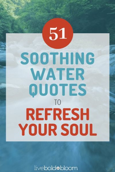 Are you thirsty, yet?  (I couldn�t even type this title without stopping to get a glass of water.)  Whether you�re drinking it, soaking in it, or letting its waves wash over your feet, water is the driving force of life itself. #mindfulness #mentalhealth Water Quotes, Behavioral Psychology, Self Help Skills, Health Blogs, Motivational Speaking, Life Itself, Glass Of Water, How To Stop Procrastinating, Improve Focus