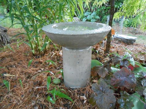 DIY Concrete Birdbath For Less Than Six Dollars! | Hometalk Diy Concrete Birdbath, Cement Bird Bath, Bird Bath Diy, Concrete Yard, Bath Diy, Concrete Creations, Bird Bath Bowl, Concrete Bird Bath, Stepping Stones Diy