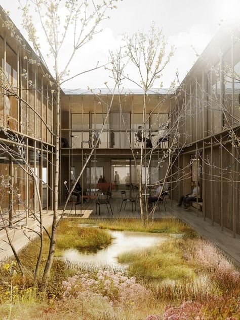 © WE Architecture Architecture Courtyard, Interior Courtyard, Psychiatric Hospital, Easy Landscaping, Architecture Graphics, First Prize, Hospital Design, Garden Architecture, Rain Garden