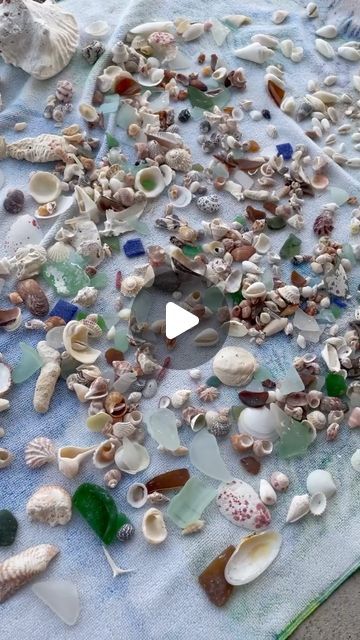 The Shell Shack | I love shelling ! 

  #shelling #iloveshelling #seaglass #shells #smallbuisness #shellcrafts #crafts #beach #beachcomber #beachcombing... | Instagram Cleaning Shells, Oyster Shell Crafts, Sand Crafts, She Sells Seashells, Beach Combing, Oyster Shell, Shell Crafts, Shells, I Love