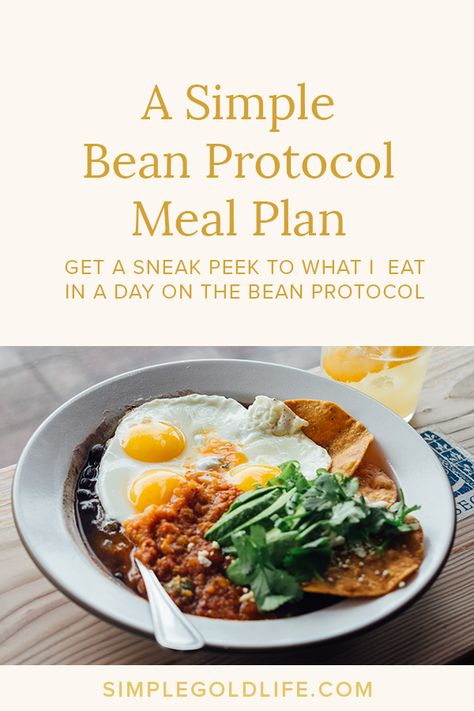 A simple meal plan for a day on the Bean Protocol! It’s easy and adaptable for vegans and meat eaters! Bean Diet Plan 21 Days, Bean And Meat Recipes, The Bean Protocol Recipes, Bean Protocol Meal Plan, The Bean Protocol, Bean Protocol Recipes, Bean Protocol, Lipedema Diet, Bean Diet