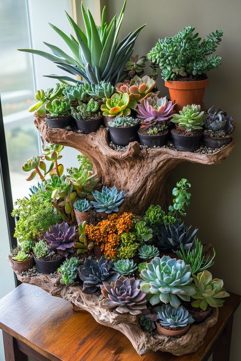 Learn how to create an indoor succulent garden with easy tips for vibrant growth! #SucculentGarden #PlantCare Succulents Aesthetic, Indoor Succulent Garden, Succulent Outdoor, Succulent Garden Indoor, Succulent Garden Design, Succulent Garden Diy, Garden Decor Projects, Succulents Decor, Potted Houseplants