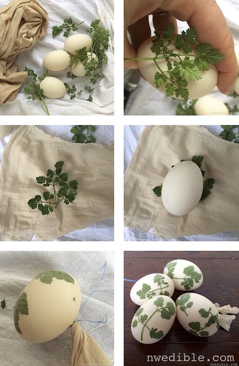 Natural Egg Coloring, Nature Easter Eggs, Diy Easter Egg Dye Natural, Coloring Easter Eggs Naturally, Natural Die For Easter Eggs, Natural Easter Eggs, Velika Noč, Dyed Easter Eggs, Dyed Eggs