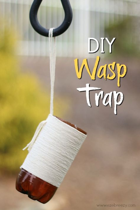 DIY Wasp Trap: All-Natural Solution Wasp Trap Diy, Wasp Sting Remedy, Red Wasps, Get Rid Of Wasps, Wasp Trap, Diy Apple Cider, Wasp Traps, Wasp Stings, Newborn Feeding