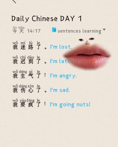 Chinese Basic Phrases, Learning Mandarin Beginner, Bahasa Mandarin, Mandarin Writing, Chinese Sentences, Chinese Lessons Learn Mandarin, Common Mandarin Phrases, Chinese Vocabulary, Chinese Language Words