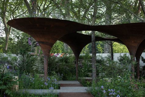 Tom Massey's Water Aid Garden at the 2024 Chelsea Flower Show Tom Massey, Rain Harvesting, Studio Weave, Pavilion Design, English Gardens, Gardening Trends, Perennial Shrubs, Forest Bathing, Garden Animals