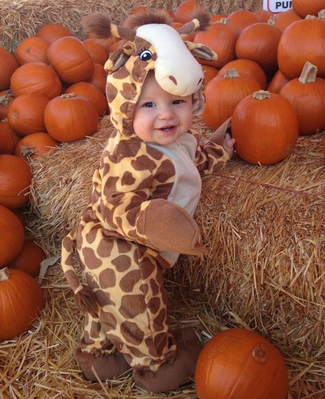 Lexi Jade, Mom And Baby Costumes, Family Themed Halloween Costumes, Photography Halloween, Giraffe Costume, Charlotte Baby, Baby Costume