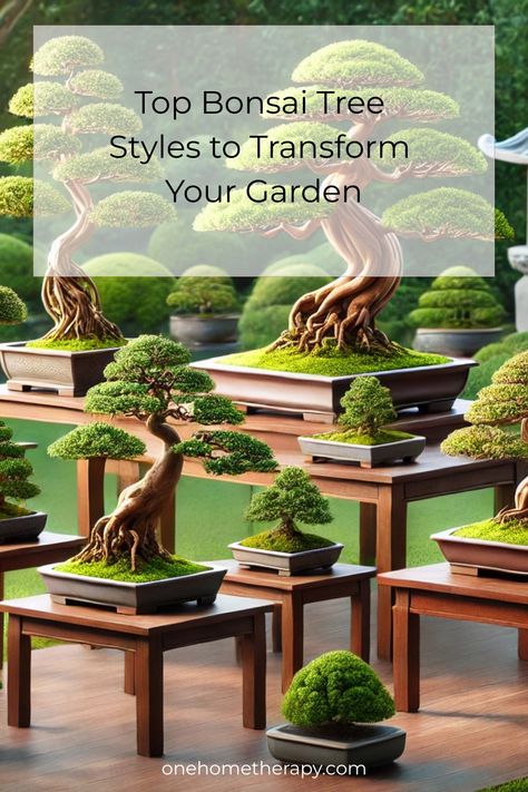 🌳 Discover the Top Bonsai Tree Styles to Transform Your Garden! 🌳 Ready to elevate your outdoor space with timeless elegance? Explore the most stunning and popular bonsai styles in our latest blog post. 🌿 Click to learn more and see how these miniature masterpieces can add beauty and tranquility to your garden! 🏡 #Bonsai #GardenDesign #OutdoorLiving #PlantLovers #DIYGardening Outdoor Bonsai Tree, Home Yoga Room, Bonsai Pruning, Garden Bonsai, Expensive Decor, Bonsai Soil, Entryway Inspiration, Bonsai Styles, Indoor Bonsai