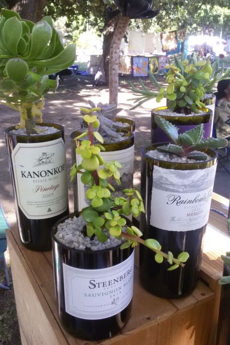 wine bottles cut and re used as succulent plant planters plant pots. potted succulent ideas for artisan craft farmers market stall Wine Bottle Upcycle, Beer Bottle Decor, Upcycled Wine Bottles, Upcycle Bottles, Reuse Wine Bottles, Reuse Bottles, Repurposed Wine Bottles, Old Wine Bottles, Plants In Bottles