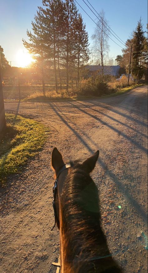 Horse Snapchat, Horse Snapchat Story, Horse Riding Snapchat Story, Fake Horse Snaps, Equestrian Snapchat, Ride A Horse Aesthetic, Horse Riding Snapchat, Vines Funny, Country Views