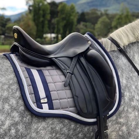 English Horse Tack, Riding Outfits, Horse Brand, Dressage Saddle Pad, Side Saddle, English Horse, Horse Equipment, Dressage Saddle, Dressage Horses