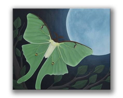 Luna Moth V2 Horizontal Animal Portrait Luna Moth Flying, Moth Painting Acrylic, Luna Moth Painting, Moth Flying, Moth Painting, Liquitex Acrylic Paint, Luna Moths, Moth Art, Image Cover