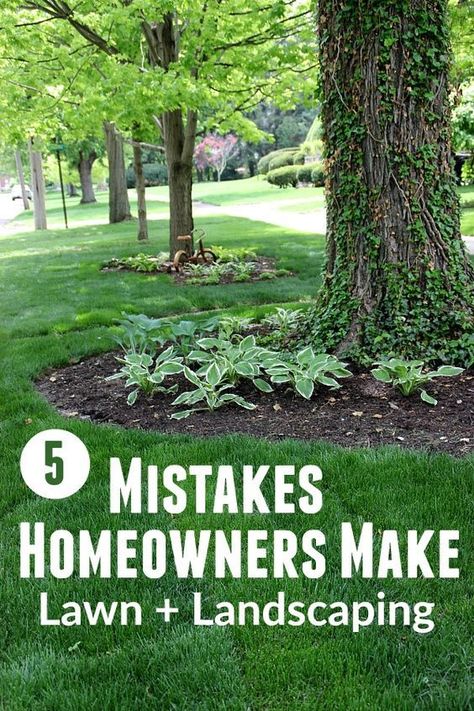 5 Mistakes Homeowners Make: The Lawn and Landscape Edition Front Lawn Landscaping, Potting Benches, Landscaping Around Trees, Mulch Landscaping, Lawn Design, Lawn Care Tips, Garden Wallpaper, Easy Landscaping, Landscape Edging