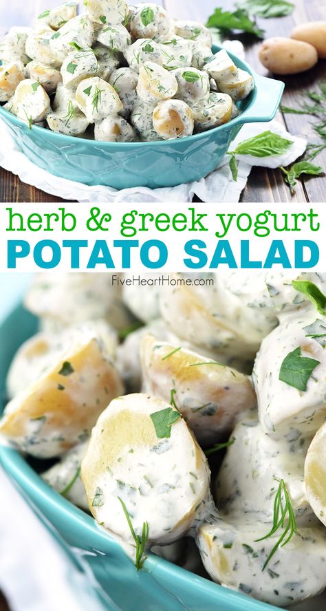 Yogurt Potato Salad, Potato Salad Dressing, Potato Salad Healthy, Greek Potatoes, Easy Potato Salad, Greek Yogurt Recipes, Potato Salad Recipe, Summer Grilling Recipes, Summer Salad Recipes