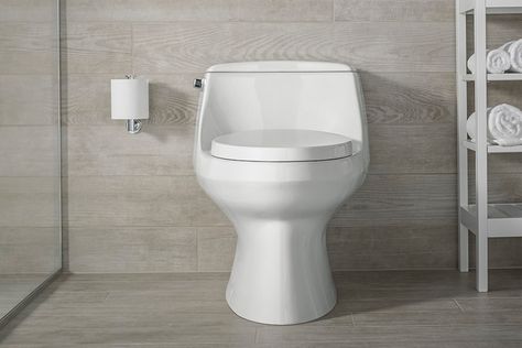 Tight space for a toilet? Keep a low profile | The Seattle Times Low Profile Toilet, Spa Resorts, Custom Shelving, New Toilet, Toilet Tank, Remodel Bedroom, Plumbing Fixtures, Generators, Save Water