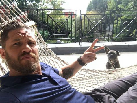 Tom and his new dog, Blu Edward Thomas Hardy, Tom Hardy Dog, Dog Breeds That Dont Shed, Hard Boy, Attitude Adjustment, Super Party, Thomas Hardy, Best Party, Cillian Murphy