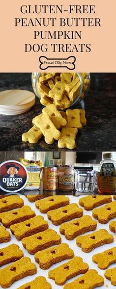 Gluten-Free Peanut Butter Pumpkin Dog Treats Gluten Free Dog Treat Recipes, Dog Treats Diy, Homemade Dog Biscuits, Dog Homemade, Gluten Free Dog Treats, Dog Treats Homemade, Homemade Pet Treats, Dogs Treats, Animal Treats