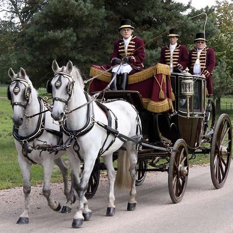 Kereta Kencana, Attingham Park, Carriage Driving, Horse Harness, Beautiful Horse Pictures, Horse Inspiration, Horse And Buggy, Covered Wagon, Horse Carriage