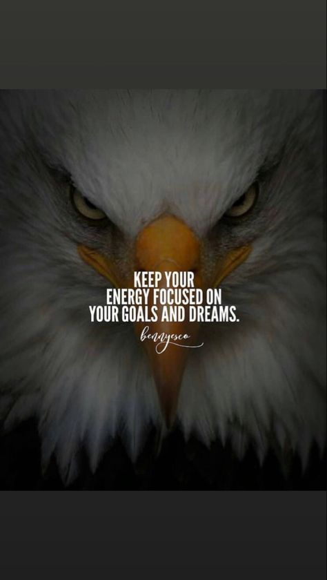 Focus Inspirational Quotes, Eagle Attitude Quotes, Eagle Motivational Quotes, Goal Focused Quotes, Just Focus On Yourself Quotes, Lion Quotes Inspirational, Focus On Goals Quotes, Stay Focused Quotes Motivation, Self Respect Quotes Women