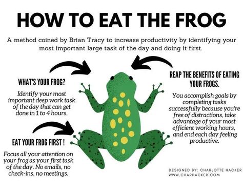 6 Best Strategies to Manage Time from the Amazing Book “Eat That Frog” | by Sabina Writes💻🖋 | Medium Eat That Frog, Ias Preparation, Eat The Frog, Manage Time, Picture Quote, Work Goals, Negotiation Skills, Work Productivity, Time Management Strategies