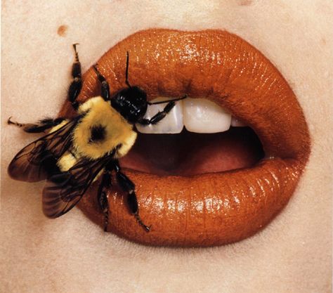 I suppose not especially modern, but I've always loved Irving Penn's series of mouth photographs Kristina Webb, Foto Macro, Irving Penn, Dallas Museum Of Art, Robert Mapplethorpe, Bee Sting, Beyond Beauty, Orange Aesthetic, Contemporary Abstract Art