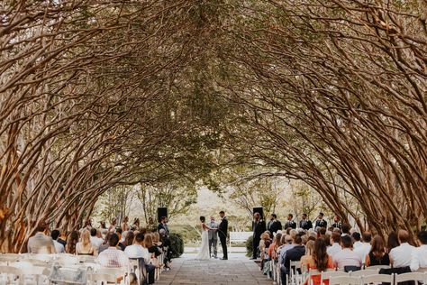 Dallas Arboretum Wedding, Arboretum Wedding, Dallas Wedding Venues, Jr High, Dallas Arboretum, Garden Venue, Lounge Style, Botanical Gardens Wedding, Dfw Wedding