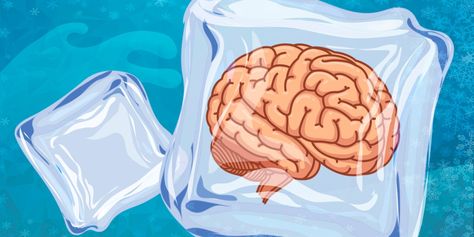 Despite its name, your brain does not really freeze during a brain freeze. Here's what's really happening to your brain when you get that sharp, searing pain. Biology Resources, Cold Foods, Brain Freeze, Wreck This Journal, What Really Happened, Cold Meals, Your Brain, Biology, Chemistry