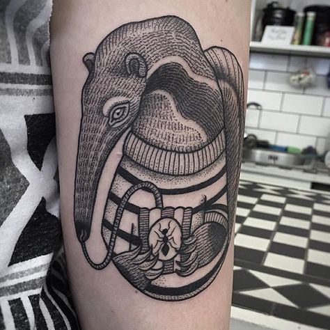 My new tattoo by the wonderful & talented Susanne König! He's called Fergus and I love him!  #tattoo#anteater#susannekönig#suflanda#ants#popcorn#sweater#tongue Him Tattoo, Giant Anteater, Popcorn Sweater, Funky Tattoos, Thanks For The Support, Favorite Animals, New Tattoo, Old School Tattoo, White Ink