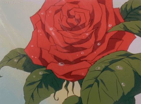 rosas decoran tu alma Rosé Gif, Anime Gifs, Old Anime, 90s Anime, Aesthetic Gif, Fan Fiction, Red Aesthetic, Art Anime, A Drawing