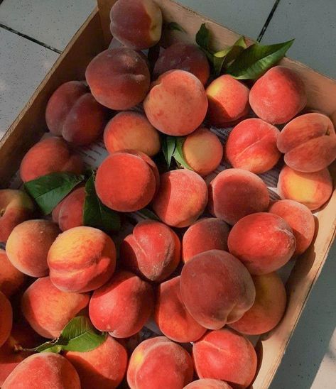 Summer Peach Aesthetic, Peaches, Organic Recipes Healthy, Peach Aesthetic, Peach Fruit, Fruit Drinks, Food Goals, Fruit And Veg, Sweet Life