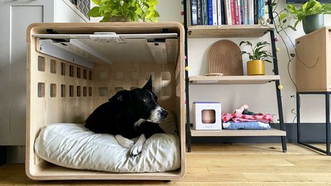 All the best dog products of 2022 Cheap Dog Beds, Puppy Heaven, Wire Crate, The Fable, Garage Door Styles, Crate Bed, Garage Style, Dog Box, Stylish Side Table