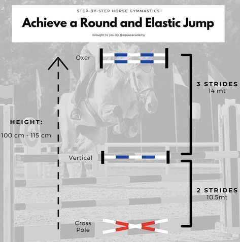 Horse Grid Exercises, Horse Riding Exercises Flatwork, Showjumping Course, Jumping Courses, Horse Jumping Exercises, Jumping Exercises, Riding Exercises, Dressage Exercises, Horse Training Exercises