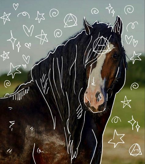 Horse Therian, Therian Ideas, Therian Pfp, Horse Mask, Draft Horse, Free Horses, Moo Moo, Types Of Horses, Animal Study